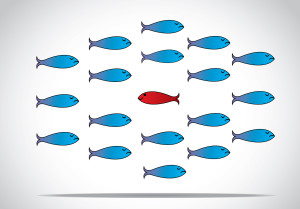 Image of several blue fish swimming one way and one red fish swimming the opposite way. Be different, unique